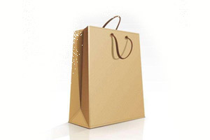 shopping Paper bag